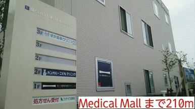 Medical Mall