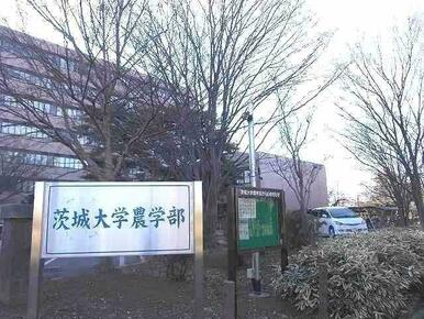 茨城大学農学部