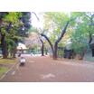 公園