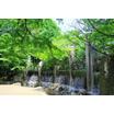 公園