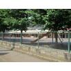 幼稚園、保育園