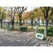 公園