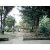 公園