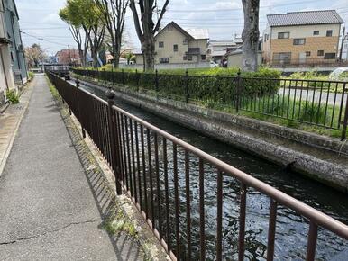 対象地西側の水路を撮影