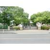 小学校