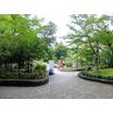 公園