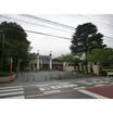 幼稚園、保育園