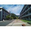 大学