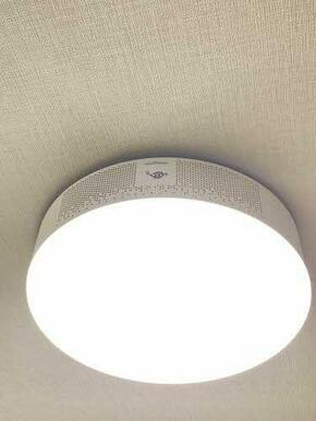 ポップインアラジン