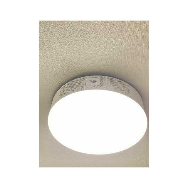 ポップインアラジン