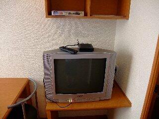 ＴＶ