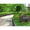 公園
