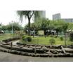 公園