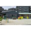 幼稚園、保育園