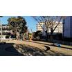 公園