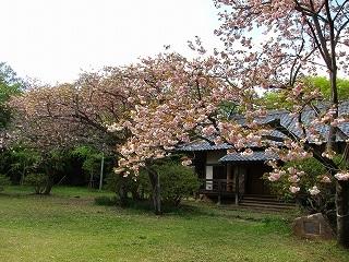 都立滝山自然公園