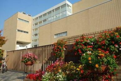 芦屋市立 岩園小学校