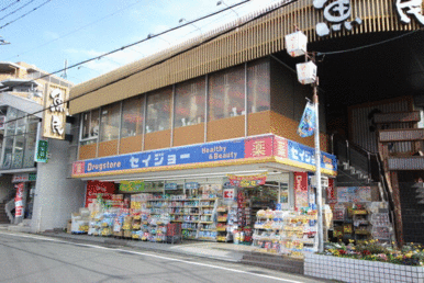 くすりセイジョー柿生駅前店