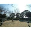 公園