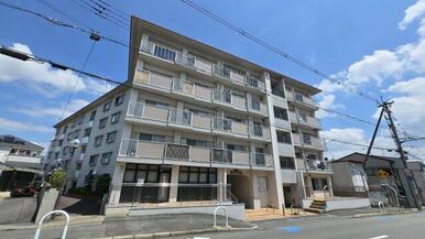 外観も気になるポイント