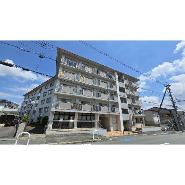 外観も気になるポイント