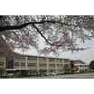 小学校