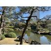 公園