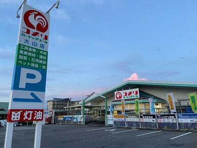 コメリハード＆グリーン大山店