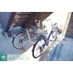 共有部分