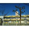 幼稚園、保育園