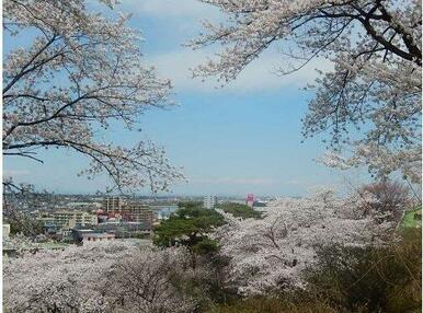 智光山公園