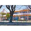 幼稚園、保育園