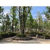 公園