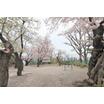 公園