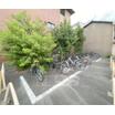 共有部分