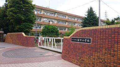 さいたま市立大宮植竹小学校