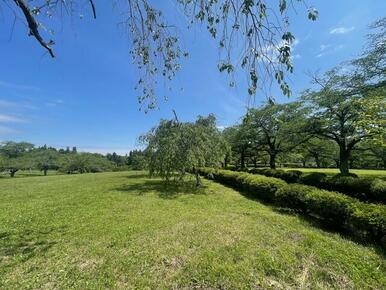 羊山公園の」わんぱく広場。