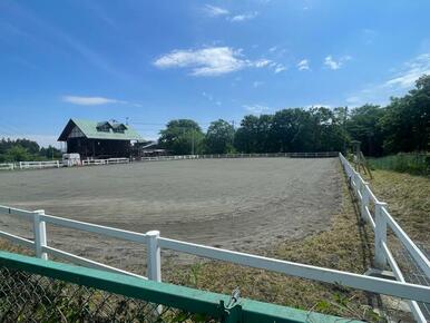 羊山公園の牧場です。