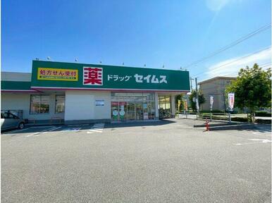 ドラッグセイムス富山西田地方店