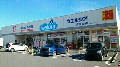 ウエルシア上三川しらさぎ店