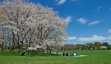 水元公園