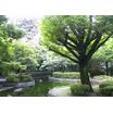公園