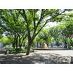 公園