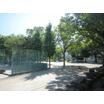 公園