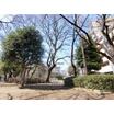 公園