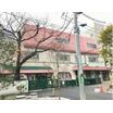 幼稚園、保育園