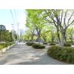 公園
