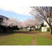 公園