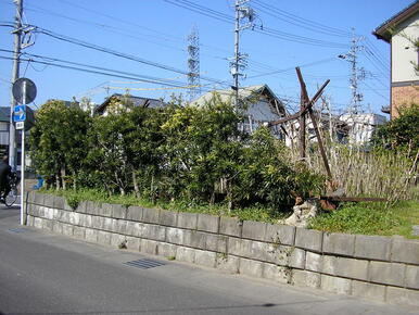 物件－南側から