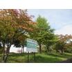 公園